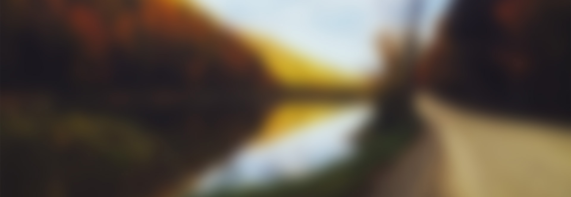 求问在线云呼死你