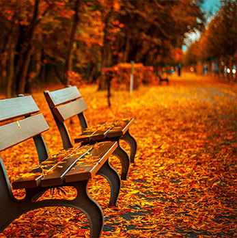 手机号轰炸测试