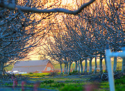 虚拟商品内部的短信压力测试平台